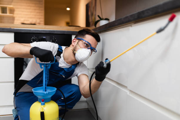 Best Ant Control Services  in Smithers, WV