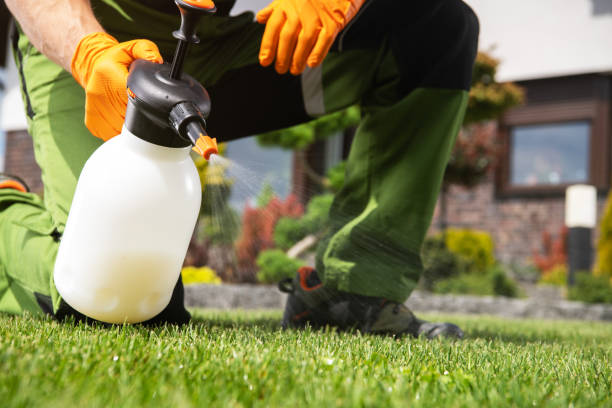Pest Prevention Services in Smithers, WV