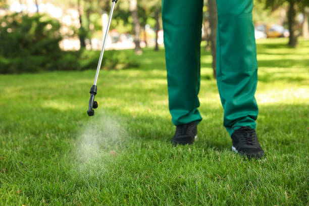 Reliable Smithers, WV Pest Control Solutions